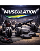 Musculation
